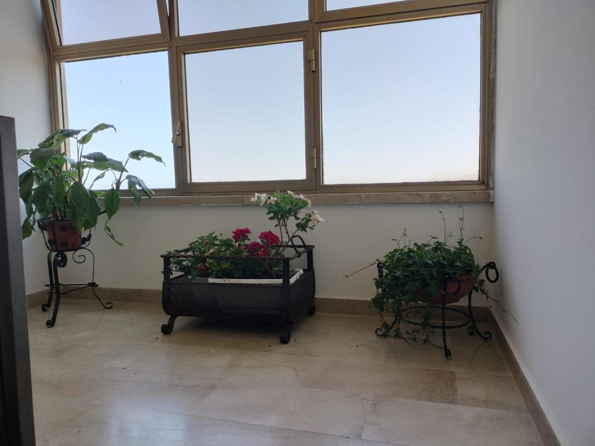 D&P Suites 1 Salemi Exterior photo